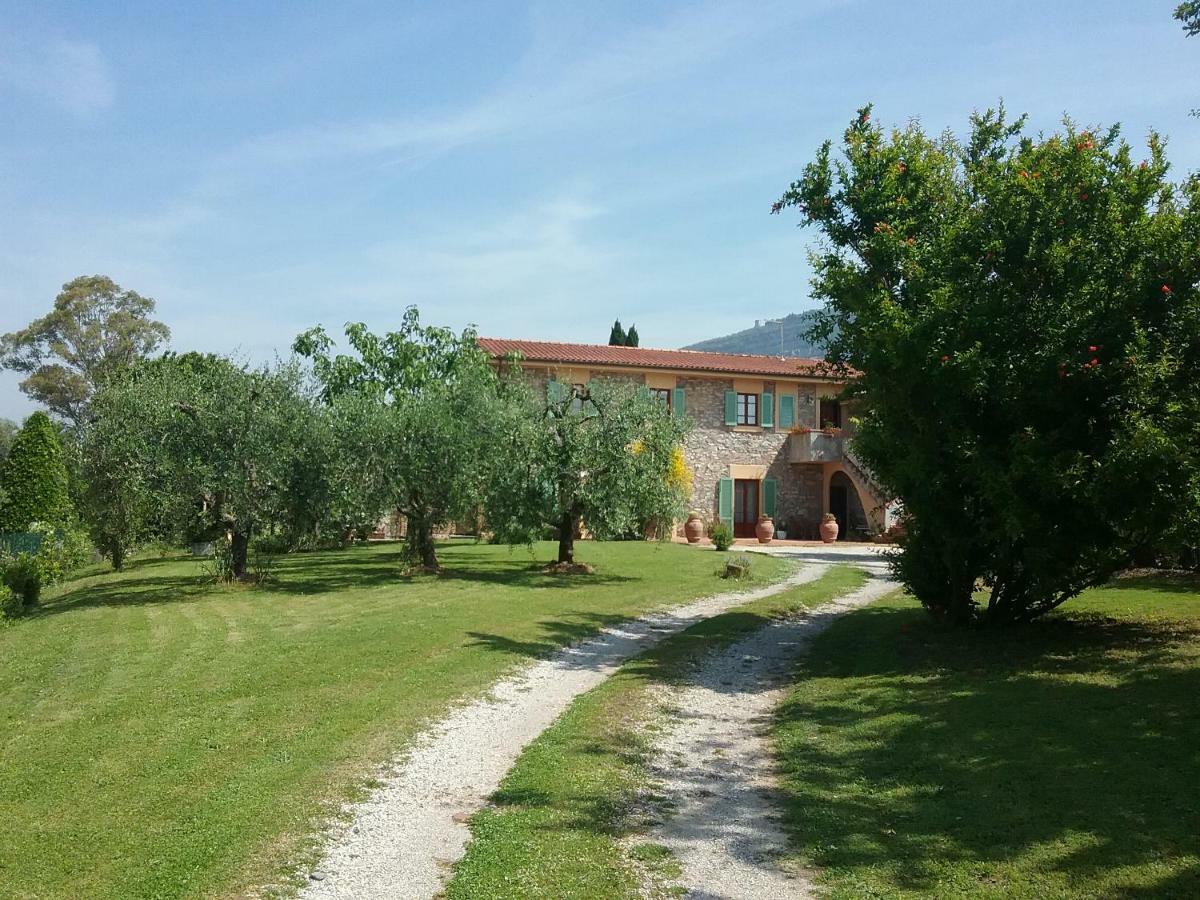 Locazione Turistica La Ginestra Apartment Monsummano Terme Exterior photo